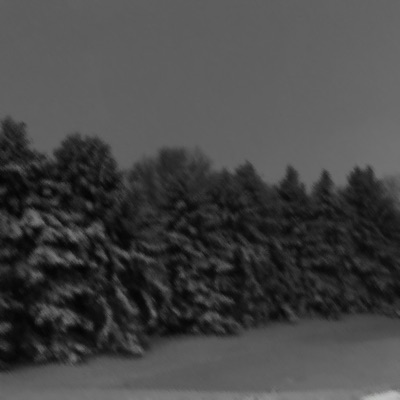 I Just Want To Be Free'd. - Single