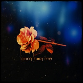 Don't Hurt Me BÖ & AKRA