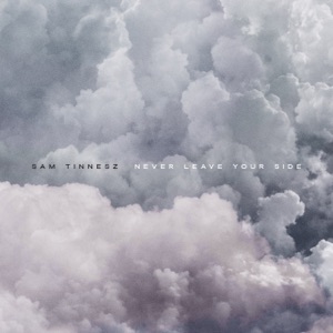 Never Leave Your Side - Single