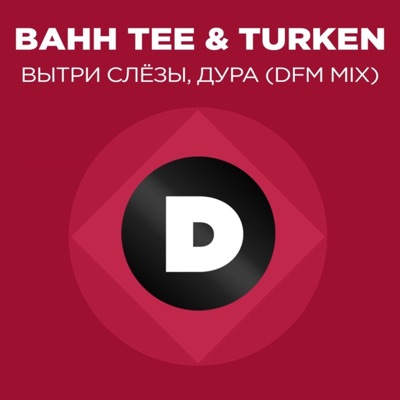 Вытри слёзы, дура (Radio DFM Mix) - Single
