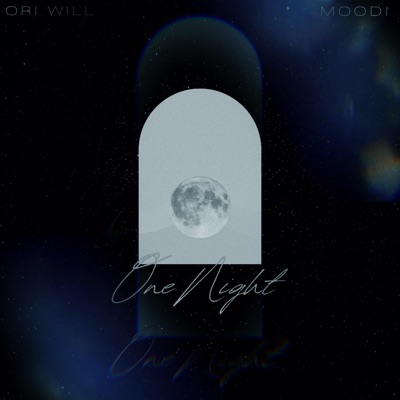 One Night (feat. Ori Will) - Single