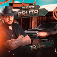 PEGADA BRUTA — EIDI RIBEIRO