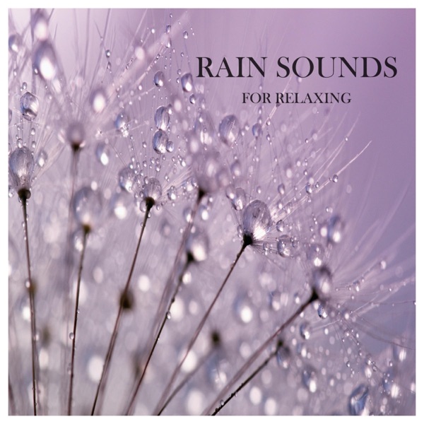 Rain Sounds for Relaxing