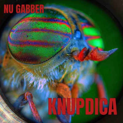 Nu Gabber - Single
