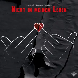 Nicht in meinem Leben by HouseKaspeR, Nachtkinder & Kevin Dyczek song reviws