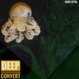 Deep Convert