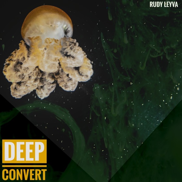 Deep Convert