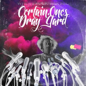 When I Rock Tha Mic (feat. The Wiz, Bobby Craves, Aztek the Barfly, Jimmi Da Grunt & Dzl)