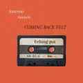 Coming Back Felt