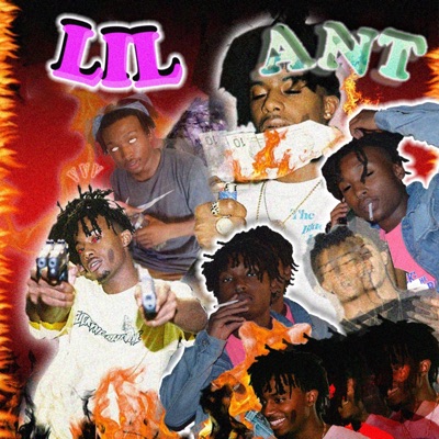 Lil Ant