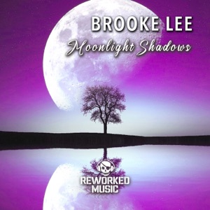Moonlight Shadows - Single