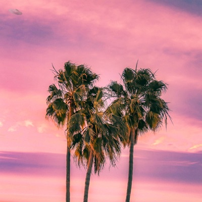 Miami - Single