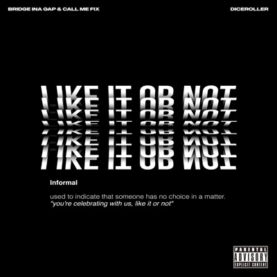 Like it or Not (feat. DiceRoller) - Single