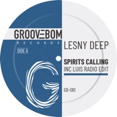 Spirits Calling (Luis Radio Edit) artwork