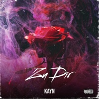 Zu Dir - Single - Kayn