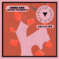 The Way You Move It - Single - James Juke