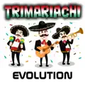 TU SOLO TU