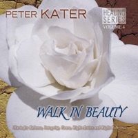 Peter Kater - Sweet Embrace (feat. Joseph Firecrow)