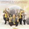 No Boundaries - Ladysmith Black Mambazo & The Strings of the English Chamber Orchestra