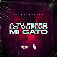 A Tu Perro Lo Vuelvo Mi Gato (feat. DJ Sknor) - Single - DJ Bryanflow