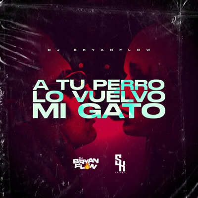 A Tu Perro Lo Vuelvo Mi Gato (feat. DJ Sknor) - Single