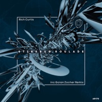 Stinkbug Roulade - Single - Rich Curtis