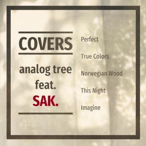 Norwegian Wood (feat. Sak.)