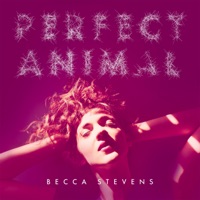 Perfect Animal - Becca Stevens