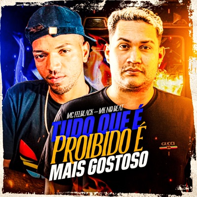Tudo Que É Proíbido É Mais Gostoso - Single