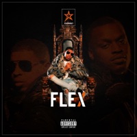 Flex (feat. Sneakbo) - Single - Starmoney