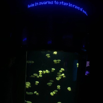 Love's a Game - Single