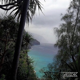 What It Cost (feat. Xfujioka & Pradaaslife) PinkPerc