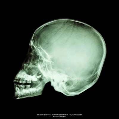BRAIN DAMAGE (feat. Holyrayne) - Single
