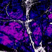 Wonderland (feat. ByeKento) - Single - Scarred