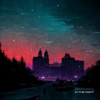 In the Night - Single - Nem & Wyld Renaissance
