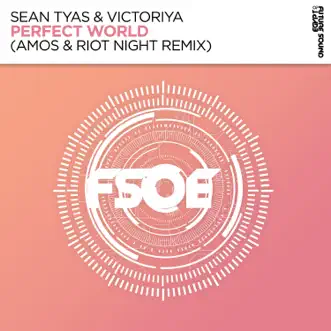 Perfect World (Amos & Riot Night Remix) - Single by Sean Tyas & Victoriya album reviews, ratings, credits