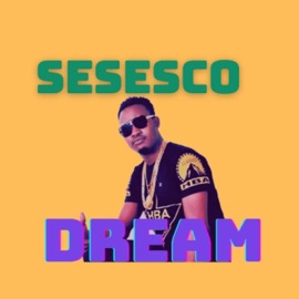 Dream Sesesco