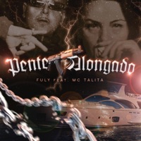 Pente Alongado (feat. Talita MC) - Single - Fuly