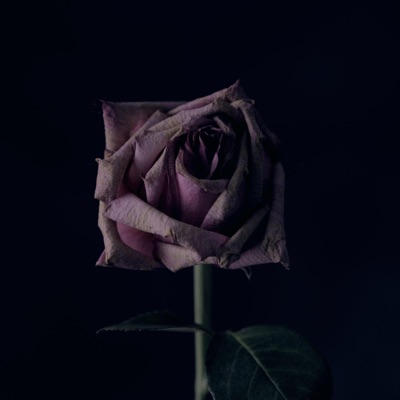 3MO B1TCH3S (feat. XXXMR.J) - Single