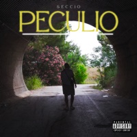Peculio - Single - SECCIO