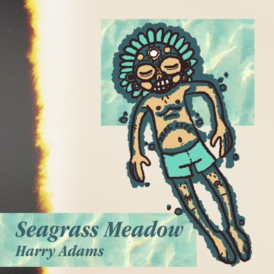 Seagrass Meadow - Single