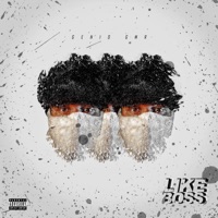 Like Boss - Single - Genio GMR