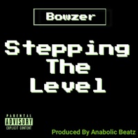Stepping the Level - Single - Bowzer