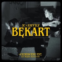Bękart (feat. Smvrf & shxpe) - Single - IC