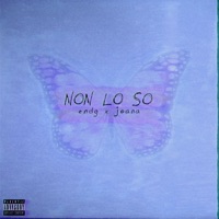Non Lo So (feat. Joana) - Single - Endg