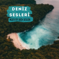 Rüzgar Ve Deniz Sesi