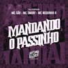 Mandando o Passinho - Single