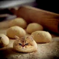 Dough - Single - akoge