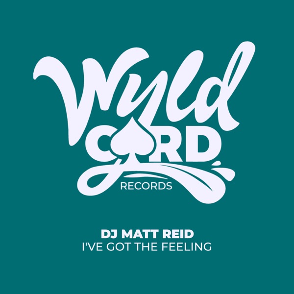 I've Got a Feeling - Single