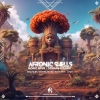 Afronic Shells - EP - Momo Ryuk, Othman Wahabi & Cafe De Anatolia